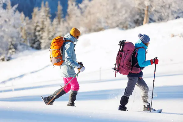 Winter Trekking Two Girls Backpacks Snowshoes Walking Snow Trees Winter Stock Image