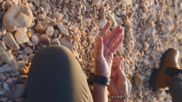 Вертикальний Постріл Дівчина Сидить Пляжі Збирає Різні Мушлі Руці — стокове відео