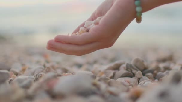 Een Meisje Giet Schelpen Uit Haar Handpalm Het Strand Ontspanning — Stockvideo