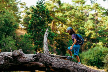 Çocuk ormanda devrilmiş bir ağacın üzerinde yürüyor. Çocukların eğlencesi, mutlu bir çocuk ağaca tırmanıyor ve eğleniyor. Bir çocukla yürümek..