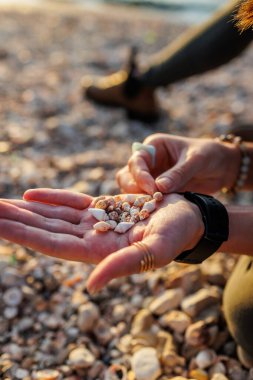 Bir kız sahilde oturur ve farklı kabuklar toplar. Deniz kabuğu koleksiyonu. Kızın elleri, yakın plan kabuklu. dinlenme ve meditasyon.