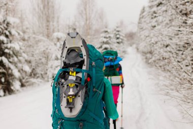 Kış aktivitesi. Karda kar ayakkabılarıyla yürüyen iki kadın, kış yürüyüşü yapan iki kişi, kışın dağlarda yürüyüş yapan iki kişi.