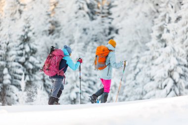 Kış aktivitesi. Karda kar ayakkabılarıyla yürüyen iki kadın, kış yürüyüşü yapan iki kişi, kışın dağlarda yürüyüş yapan iki kişi.