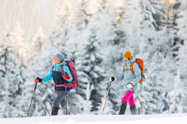 Kış aktivitesi. Karda kar ayakkabılarıyla yürüyen iki kadın, kış yürüyüşü yapan iki kişi, kışın dağlarda yürüyüş yapan iki kişi.