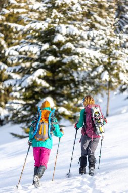 Gezginler kışın güzel doğada birlikte seyahat ederler. İki kız kışın ormanda yürür. Kar ayakkabılarıyla dağlarda yürüyüş..