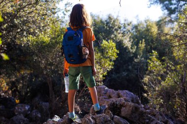 A boy with a backpack and a bottle of water walks through the forest, a child explores the wild, a child stands alone among the trees.