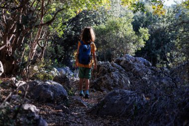 A boy with a backpack and a bottle of water walks through the forest. Trekking with children. a child explores the wild, a child walks along a path among the trees.