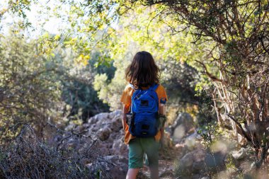A boy with a backpack walks through the forest. Trekking with children. a child explores the wild nature, a cheerful child walks along a path among the trees.
