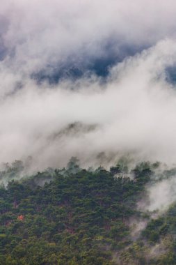 Dağ manzarası. Ormanın üzerinde yağmur bulutları. Ormana yağmur yağıyor. Türkiye.