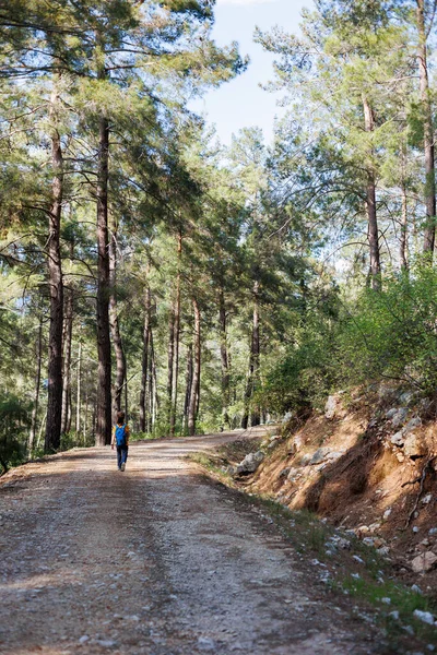 Gezgin çocuk. Sırt çantalı bir turist dağ yolu boyunca gider. Yürüyüş ve aktif sağlıklı yaşam tarzı. çocuklarla macera tatili.