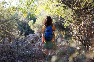 A boy with a backpack walks through the forest. Trekking with children. a child explores the wild nature, a cheerful child walks along a path among the trees.