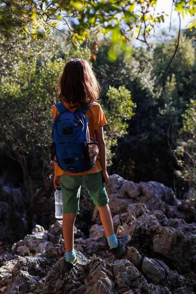A boy with a backpack and a bottle of water walks through the forest, a child explores the wild, a child stands alone among the trees.