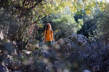 A boy with a backpack walks through the forest. Trekking with children. a child explores the wild nature, a cheerful child walks along a path among the trees.
