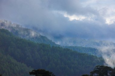 Bulutlardaki dağlar. Dağ manzarası. Sisteki dağ zirvesi manzarası. Yüksek kayalıkları olan güzel bir manzara. Dedegol. Türkiye.