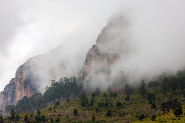 Bulutlardaki dağlar. Dağ manzarası. Sisteki dağ zirvesi manzarası. Yüksek kayalıkları olan güzel bir manzara. Dedegol. Türkiye.