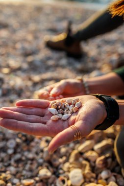 Bir kız sahilde oturur ve farklı kabuklar toplar. Deniz kabuğu koleksiyonu. Kızın elleri, yakın plan kabuklu. dinlenme ve meditasyon.