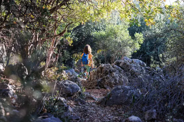 Boy Backpack Bottle Water Walks Forest Trekking Children Child Explores Fotos De Stock