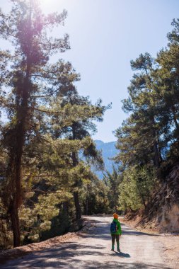 Ormanda sırt çantalı bir çocuk. Yürüyüş ve seyahat. Tatillerde yürüyüş..