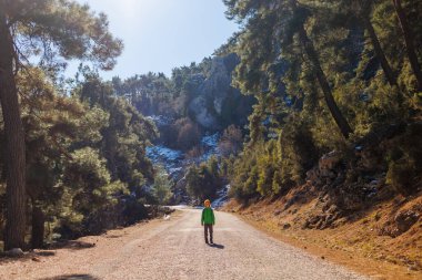 Ormanda sırt çantalı bir çocuk. Yürüyüş ve seyahat. Tatillerde yürüyüş..