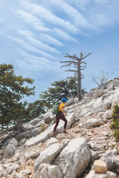 Dağlık bir arazisi ve ön planda sırt çantalı bir turisti olan muhteşem bir manzara. Dağcılık ve tırmanma. Dağlarda macera.