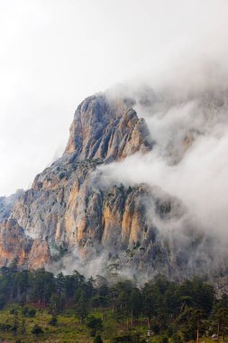 Bulutlardaki dağlar. Dağ manzarası. Sisteki dağ zirvesi manzarası. Yüksek kayalıkları olan güzel bir manzara. Dedegol. Türkiye.