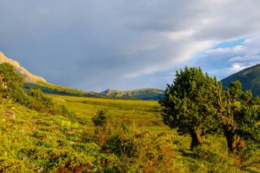 Gün batımında güzel orman ve dağlar, pitoresk doğa, batan güneş ışınları, Türkiye 'ye seyahat