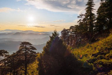 Bulutlardaki dağlar. Sisin içinde yeşil ağaçlar olan bir dağın havadan görünüşü. Yüksek uçurumları, ormanı, gökyüzünü olan güzel bir manzara. Dedegol. Türkiye.