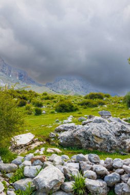 Gün batımında güzel orman ve dağlar, pitoresk doğa, Türkiye 'ye seyahat