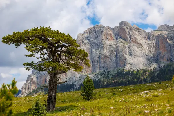 stock image Beautiful colorful landscape. View of the mountain and clouds. Active recreation in nature.