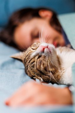 Çocuk uykuya dalıyor ve kedisine sarılıyor, o da onunla yorganın altında uyuyor. Çocuklar ve evcil hayvanlar. Kedi bebekle uyuyor. Çocuk yatmaya hazırlanıyor..