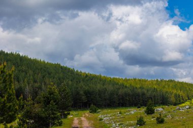 Dağlarda ağaçlar. Güzel yeşil ağaçları olan dağ manzarası. Yüksek uçurumları, ormanı ve gökyüzü olan güzel bir manzara. Dedegol. Türkiye.