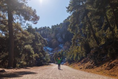 Ormanda sırt çantalı bir çocuk. Çocuklarla yürüyüş ve yürüyüş. Yürüyüş ve seyahat.