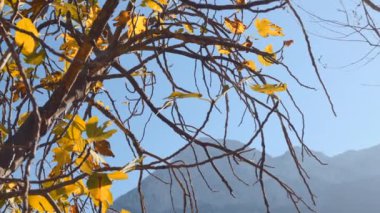 Sonbaharda Türkiye 'nin güzel dağları, pitoresk doğa, dağlarda sonbahar, seyahat ve macera. Hindi. Antalya.