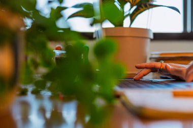 Laptop kullanan bir kızın elinin yan görüntüsü. Genç bir kadının ellerine yakın çekim. Uzaktan çalışıyor, e-postaları cevaplıyor ve işleri internetten tamamlıyor. İş kavramı ve çevrimiçi kaynaklar.