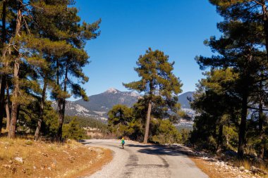 Ormanda sırt çantalı bir çocuk. Yürüyüş ve seyahat. Tatillerde yürüyüş..
