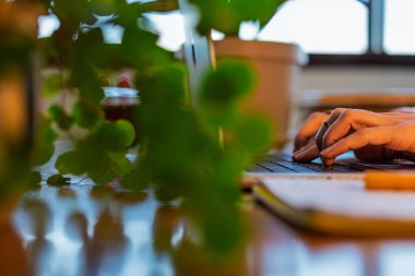 Laptop kullanan bir kızın elinin yan görüntüsü. Genç bir kadının ellerine yakın çekim. Uzaktan çalışıyor, e-postaları cevaplıyor ve işleri internetten tamamlıyor. İş kavramı ve çevrimiçi kaynaklar.