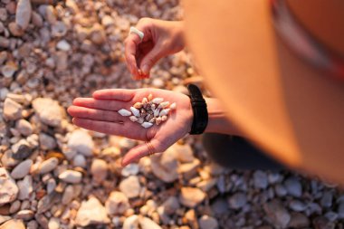 Kız sahilde oturur ve elinde çeşitli kabuklar toplar. Kapalı kabuklu kızların elleri..