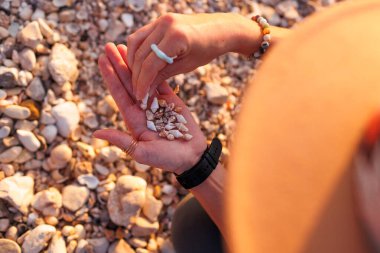 Kız sahilde oturur ve elinde çeşitli kabuklar toplar. Kapalı kabuklu kızların elleri..