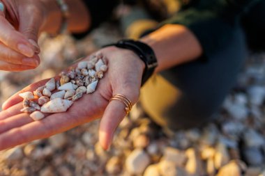 Bir kız sahilde oturur ve farklı kabuklar toplar. Deniz kabuğu koleksiyonu. Kızın elleri, yakın plan kabuklu. dinlenme ve meditasyon.
