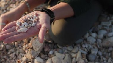 Mermiler yakın planda. Kız sahilde oturuyor ve elinde çeşitli kabuklar topluyor. Kabuklu kız elleri.