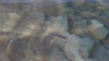 Ölü Deniz 'de temiz su, dibi ve tuzu görülebilir. Derinlerde tuz kaplı kayalar. Ölü Deniz. İsrail