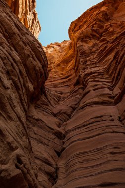 Eilat yakınlarındaki Gai Avud Kanyonu, İsrail Çölü boyunca seyahat edin. Doğal eğlence. İsrail 'de turizm ve seyahat.