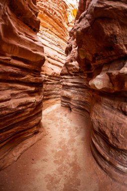 Eilat yakınlarındaki Gai Avud Kanyonu, İsrail Çölü boyunca seyahat edin. Doğal eğlence. İsrail 'de turizm ve seyahat.