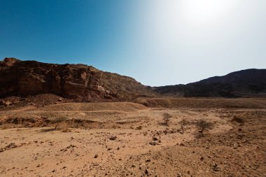 İsrail çölündeki kayalık manzaralar, kumtaşı kayalıkları ve çöller. İsrail çölü boyunca seyahat edin. Doğal cazibeler. İsrail. Eilat.