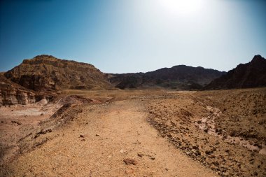 Kuru çöl vadisi manzarası. Çölde yolculuk. Eilat. İsrail.