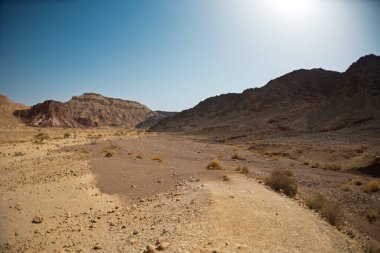 Kuru çöl vadisi manzarası. Çölde yolculuk. Eilat. İsrail.