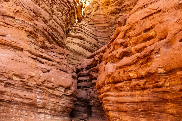 Eilat yakınlarındaki Gai Avud Kanyonu, çölde yürüyüş. İsrail 'de turizm ve seyahat