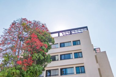Tel Aviv 'in modern mimarisi. Tel Aviv Panoraması. İsrail.