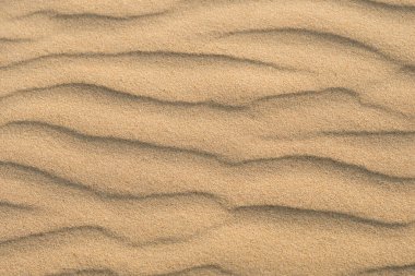 Sand background with dunes. Sand desert texture. Natural sand on the sea beach.