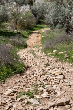 İsrail, Kudüs 'ün bir banliyösü olan ein Karem köyündeki Rocky kır yolu.